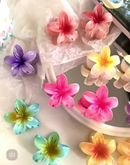 Kit 3-12 Pcs Presilha Piranha Flor De Cabelo Mini Pequeno Acrilico 4cm Verão Aestheric Grampo Summer Praia