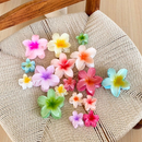 Kit 3-12 Pcs Presilha Piranha Flor De Cabelo Mini Pequeno Acrilico 4cm Verão Aestheric Grampo Summer Praia