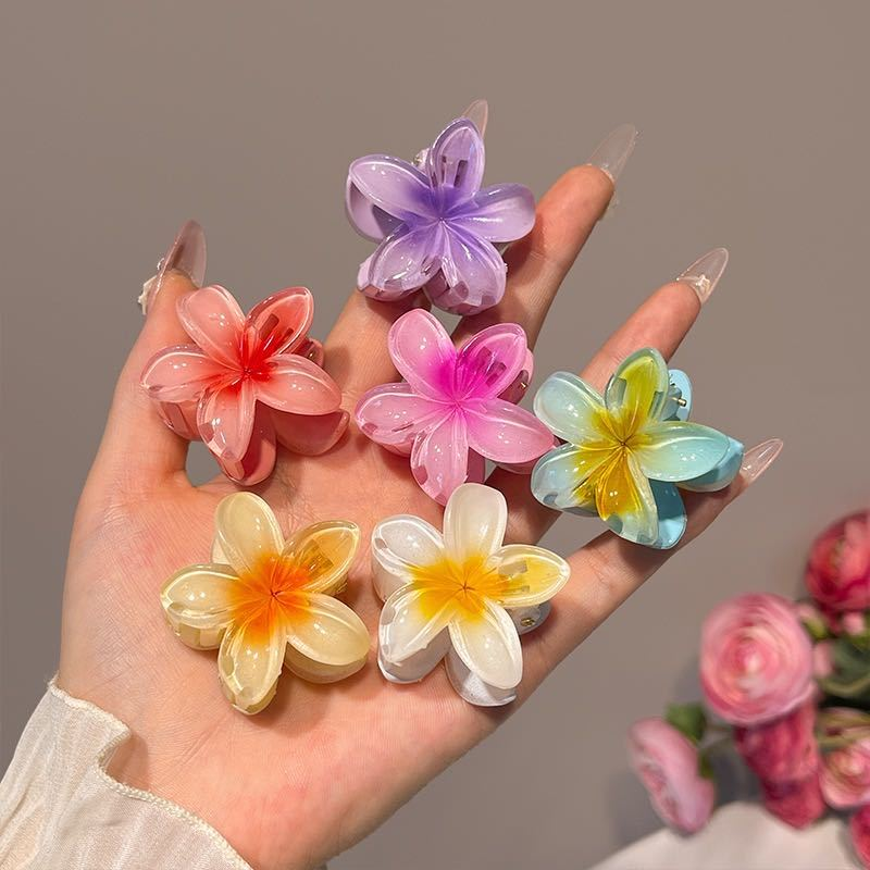 Kit 3-12 Pcs Presilha Piranha Flor De Cabelo Mini Pequeno Acrilico 4cm Verão Aestheric Grampo Summer Praia