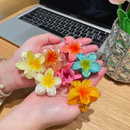 Kit 3-12 Pcs Presilha Piranha Flor De Cabelo Mini Pequeno Acrilico 4cm Verão Aestheric Grampo Summer Praia