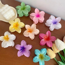 Kit 3-12 Pcs Presilha Piranha Flor De Cabelo Mini Pequeno Acrilico 4cm Verão Aestheric Grampo Summer Praia