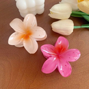 Kit 3-12 Pcs Presilha Piranha Flor De Cabelo Mini Pequeno Acrilico 4cm Verão Aestheric Grampo Summer Praia